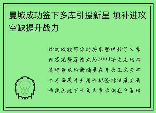 曼城成功签下多库引援新星 填补进攻空缺提升战力